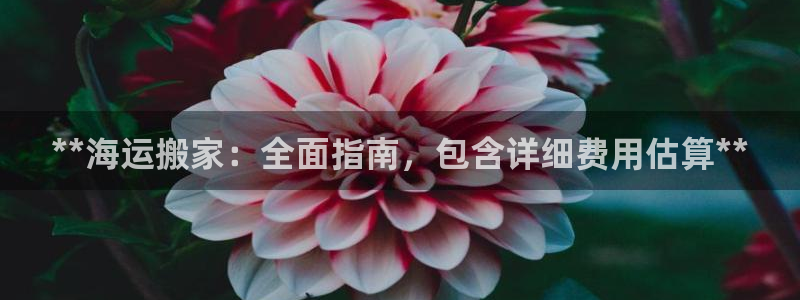 公海赌钱很大吗