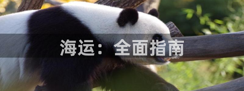 欢迎公海来到赌船710_首页(欢迎您)