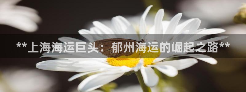 公海赌船官方