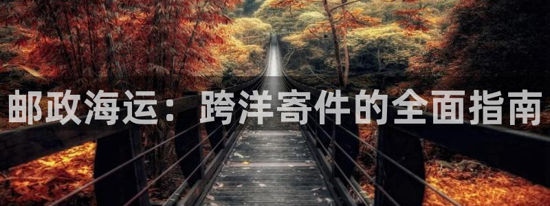 欢迎上船