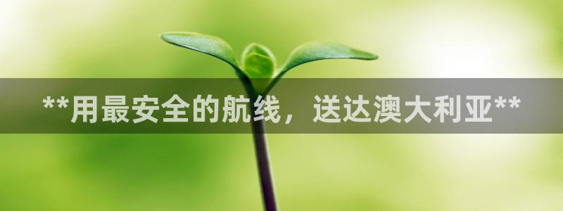 欢迎来到公海555000