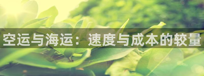 欢迎来到海牛星简谱