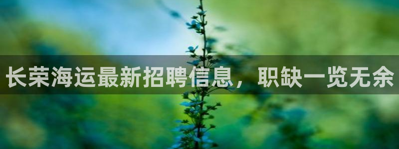 公海赌博怎么处理