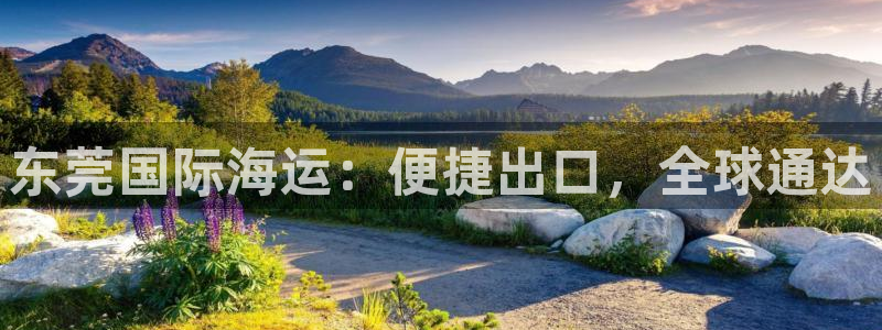 公海赌赌船官网是真的吗