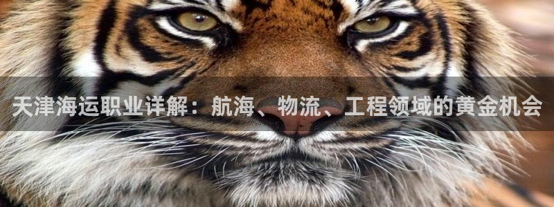 公海赌赌船