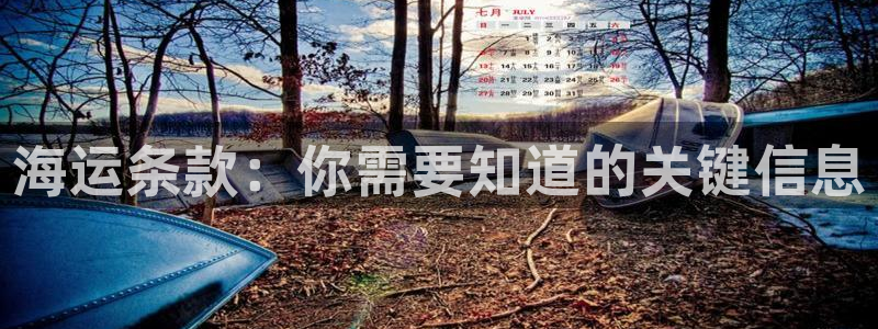 公海赌钱犯法吗