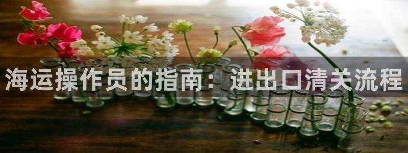 欢迎来到大海