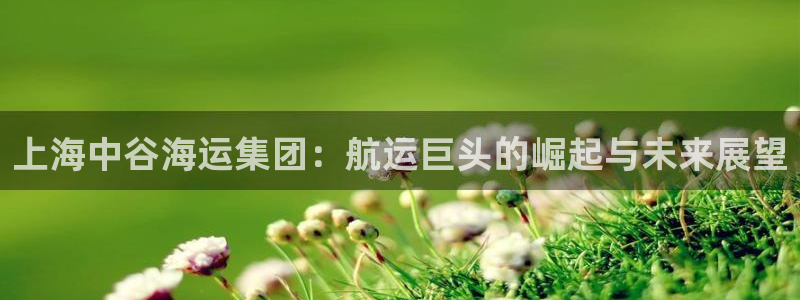 欢迎你来到公海欢迎你来到