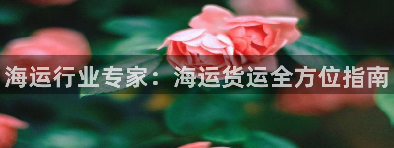 公海赌赌船官网jc710 下载