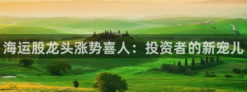 公海赌船吧