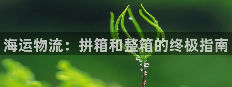 公海赌赌船手机下载