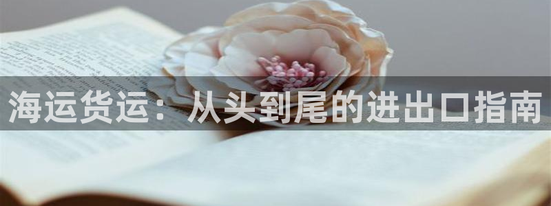 公海赌赌船系统维护要多久