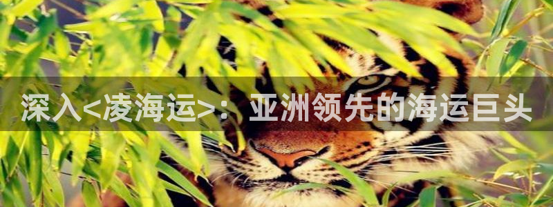 欢迎到我的船上来的英文