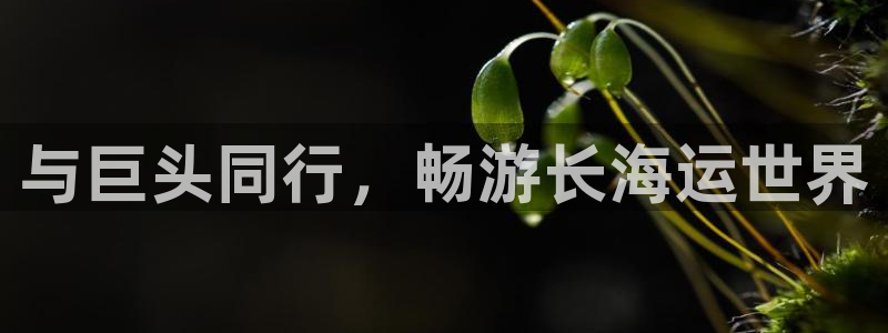 公海赌钱公安会抓吗