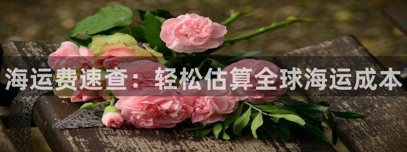 欢迎你来到公海赌