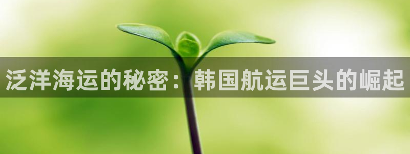 公海赌船贴吧