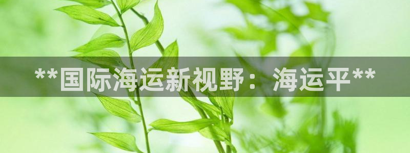 710公海赌赌船有总代理吗