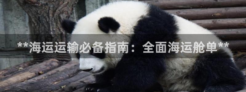 公海赌钱公安会抓吗