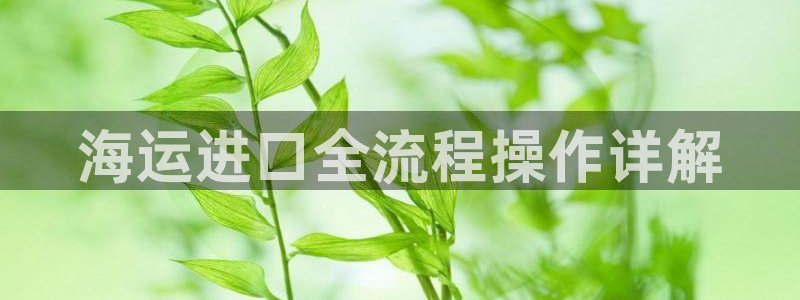 公海赌赌船最新版本更新内容