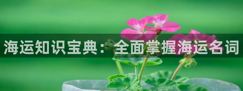 去公海赌博合法吗