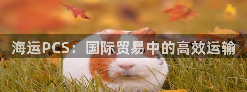 公海赌博为什么不犯法