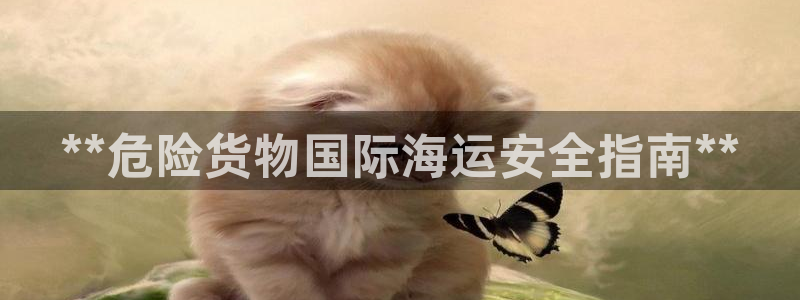 欢迎来到海牛星简谱