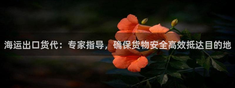 公海赌钱