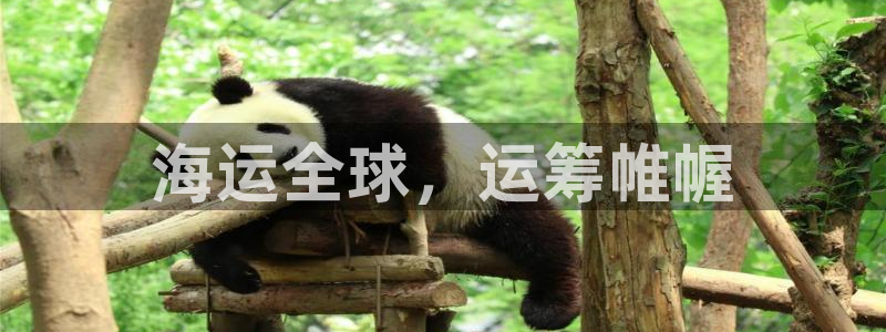 在公海赌博犯法吗