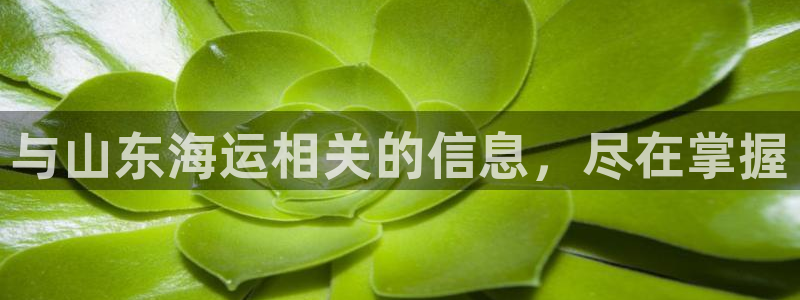 公海赌赌船官网
