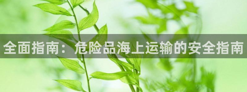 公海赌钱犯法吗