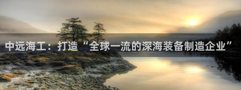 公海赌赌船官网图标