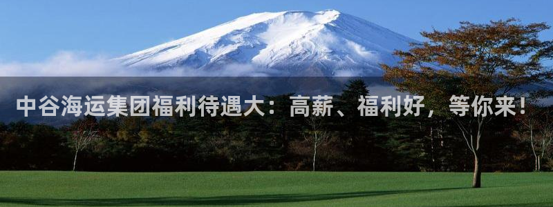 公海赌赌船官网