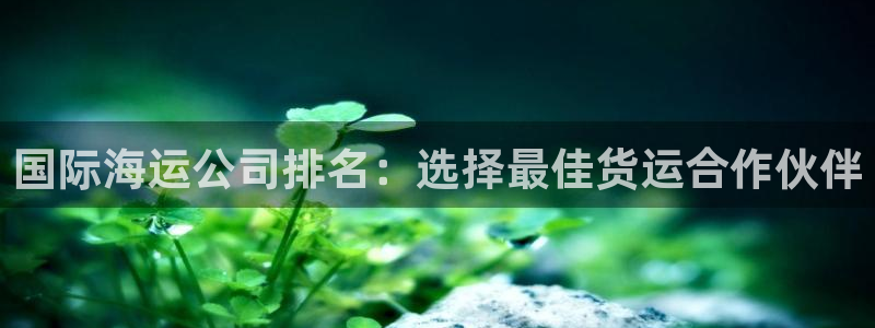 在公海赌博犯法吗