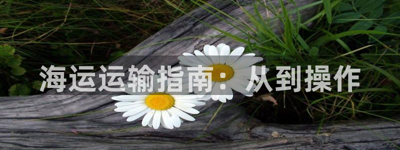 在公海赌博不违法吗
