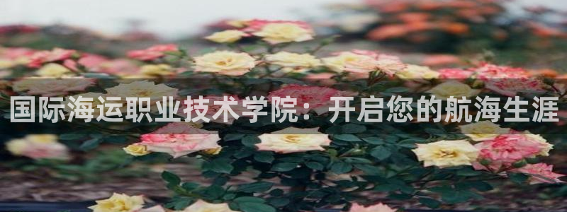 公海赌赌船官网真的