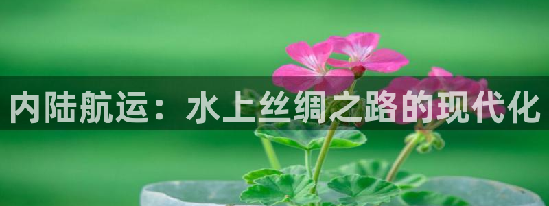 去公海赌博合法吗