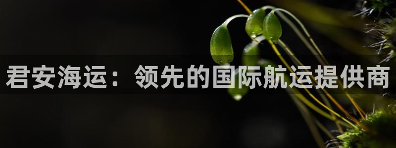 公海船赌网站是多少