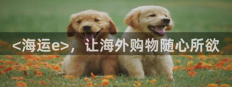 欢迎你来到公海 赌船