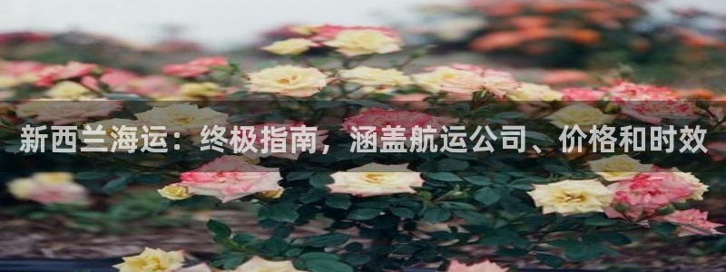 欢迎您来到公海欢迎来到赌船