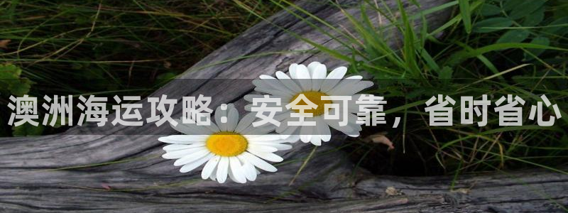 欢迎你来到公主的海岛