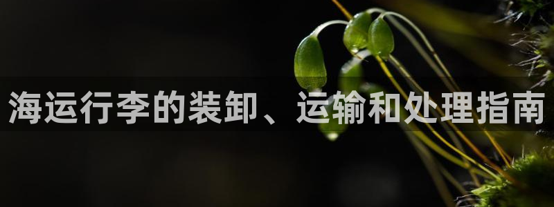 欢迎你来到公海 赌船