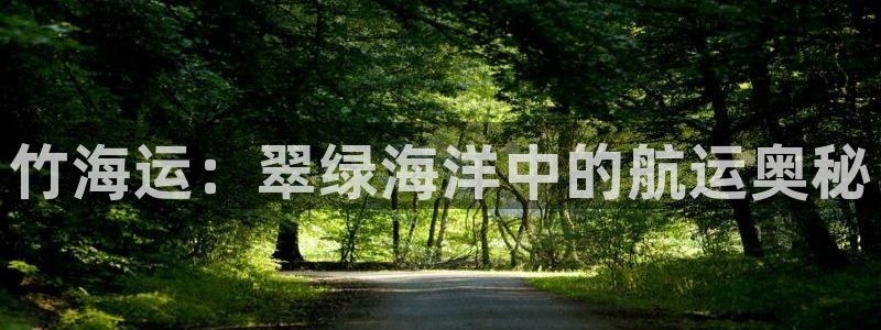 欢迎来到公海电脑版